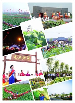 又雙叒叕入選了！平園池再獲兩個省級榮譽！休閑觀光活動的卓越典范