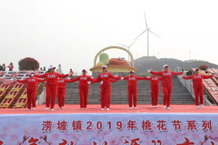 澇坡鎮2019年“山水澇坡?醉美桃花”桃花節暨休閑觀光活動圓滿閉幕